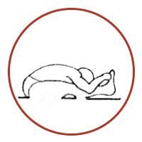 Dandasana Pascimottanasana-abcd