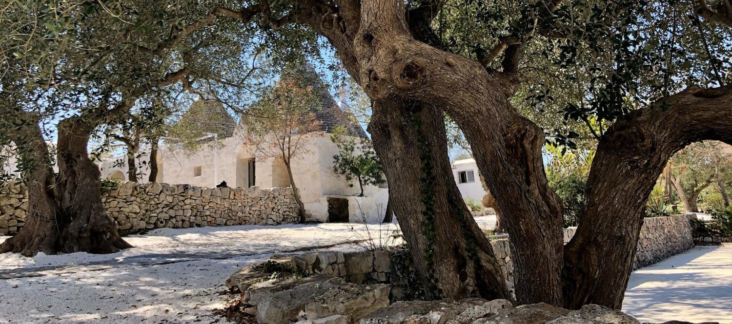 YogApulia Retreat Centre