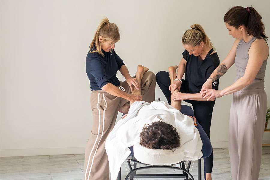 Formation de massage: Anatomie Palpatoire