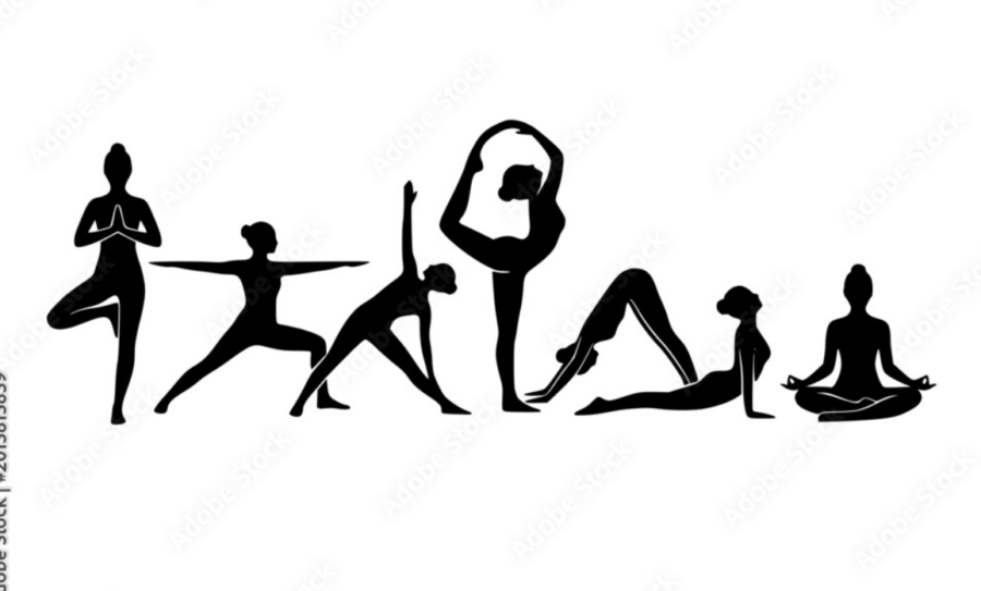100h Vinyasa & Vinyasa Flow